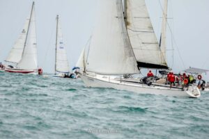 regata-029