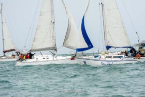 regata-091