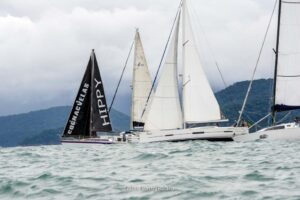 regata-131