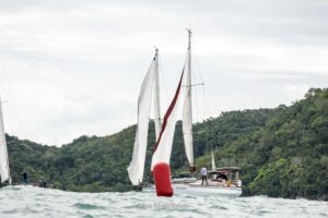 regata-132