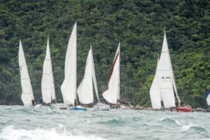 regata-139