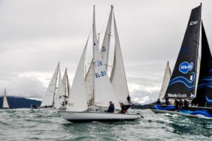 regata-167