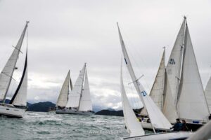 regata-169