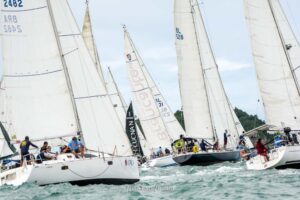 regata-172