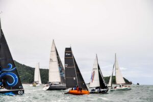 regata-175