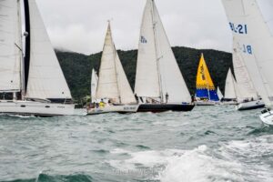 regata-179