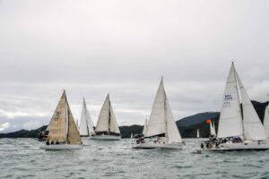 regata-182