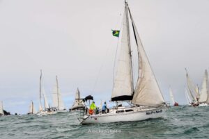 regata-208