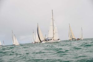 regata-211