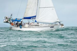 regata-215