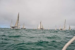 regata-219