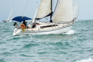 regata-221