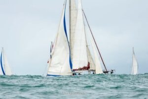 regata-229