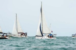 regata-231