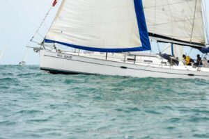 regata-239