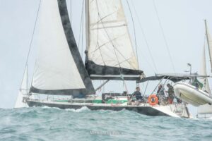 regata-241