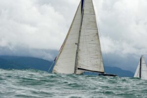 regata-244