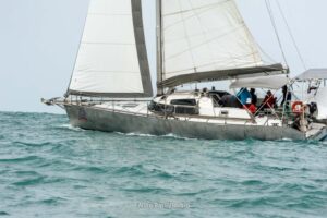 regata-250