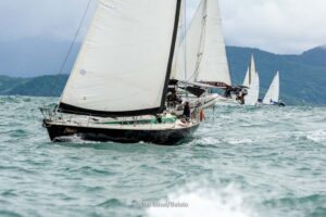 regata-256