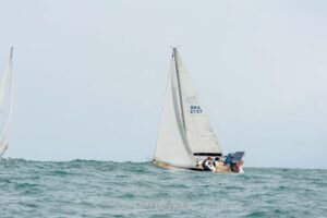 regata-261