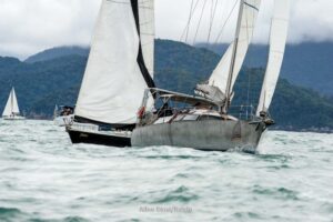 regata-271