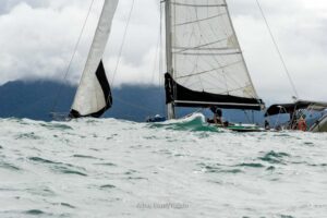 regata-275