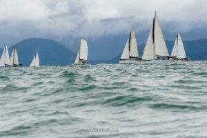 regata-286