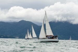 regata-288