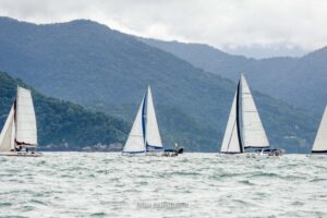 regata-294