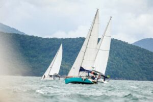 regata-296