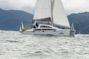 regata-316