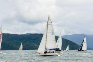 regata-318