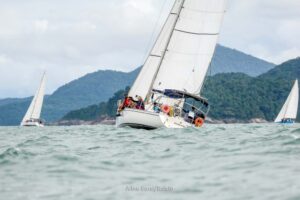 regata-319