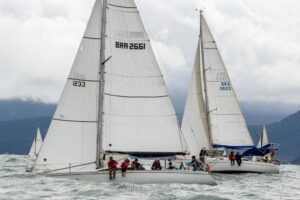 regata-323