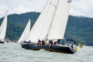 regata-324