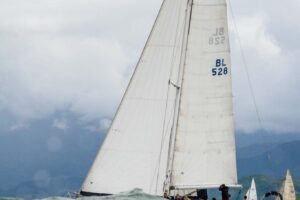 regata-328