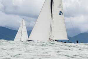 regata-329