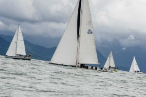 regata-330