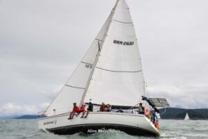 regata-384