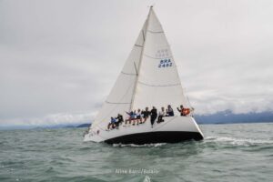 regata-408