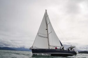 regata-422