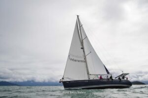 regata-424