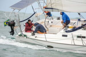 regata-428