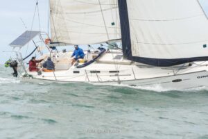 regata-429