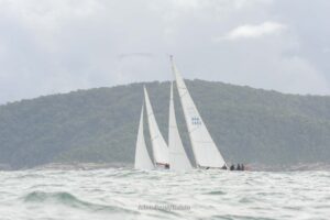 regata-430