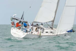 regata-436