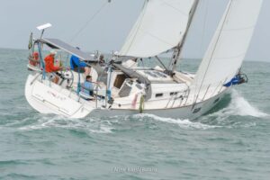 regata-438