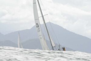 regata-463