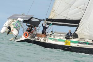 regata-474