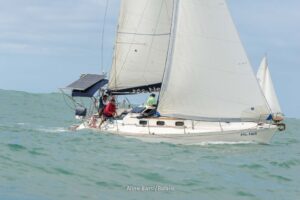 regata-476